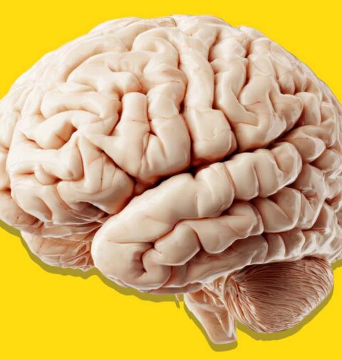 beyond-the-synapse-the-future-of-psychology-beyond-ai-and-brain-computer-interfaces