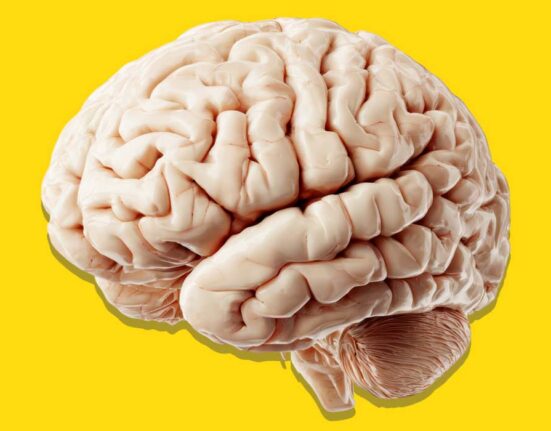 beyond-the-synapse-the-future-of-psychology-beyond-ai-and-brain-computer-interfaces
