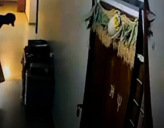 delivery-workers-emotional-cricket-bat-moment-goes-viral-online