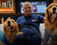 nestle-india-hires-golden-retrievers-as-chief-happiness-officers-to-boost-workplace-happiness