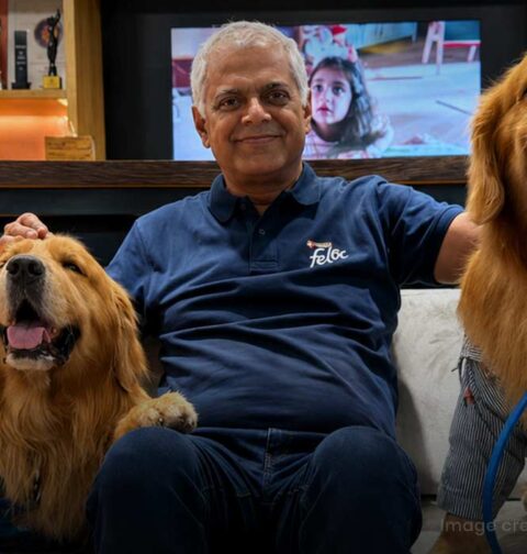 nestle-india-hires-golden-retrievers-as-chief-happiness-officers-to-boost-workplace-happiness