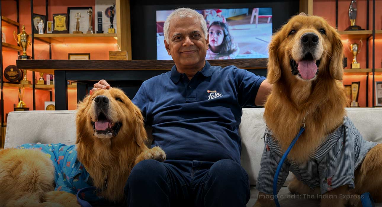 nestle-india-hires-golden-retrievers-as-chief-happiness-officers-to-boost-workplace-happiness