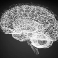 new-research-reveals-how-the-brain-combines-symbols-to-create-new-ideas-and-abstract-thought