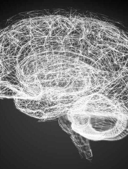 new-research-reveals-how-the-brain-combines-symbols-to-create-new-ideas-and-abstract-thought