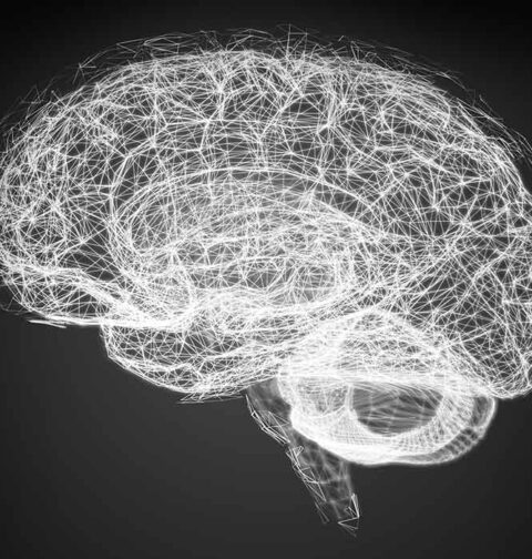 new-research-reveals-how-the-brain-combines-symbols-to-create-new-ideas-and-abstract-thought
