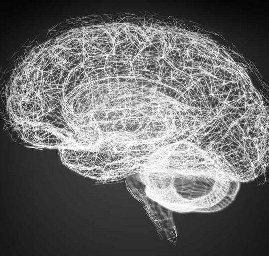 new-research-reveals-how-the-brain-combines-symbols-to-create-new-ideas-and-abstract-thought