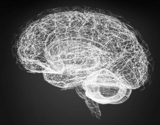 new-research-reveals-how-the-brain-combines-symbols-to-create-new-ideas-and-abstract-thought