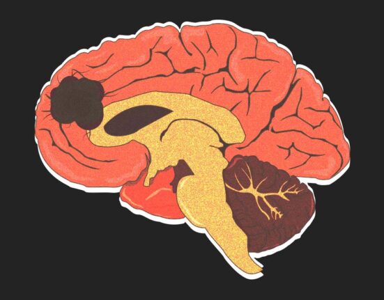 a-new-hope-against-brain-cancer-how-personalised-dna-vaccines-are-changing-glioblastoma-treatment