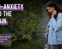 eco-anxiety-and-the-brain-what-happens-to-the-amygdala-during-eco-anxiety