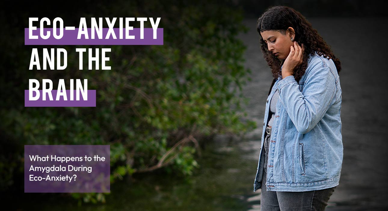 eco-anxiety-and-the-brain-what-happens-to-the-amygdala-during-eco-anxiety