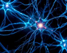 how-collagen-tiles-are-transforming-brain-cancer-treatment