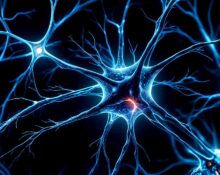 microexon-misregulation-in-neurons-triggers-hyperarousal-and-sleep-loss-study-finds