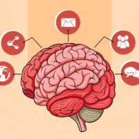 model-mugging-understanding-the-freeze-response-and-trauma-informed-self-defence