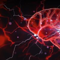 new-research-reveals-how-clptm1l-strengthens-cancer-growth-signals-in-glioblastoma