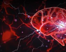 new-research-reveals-how-clptm1l-strengthens-cancer-growth-signals-in-glioblastoma