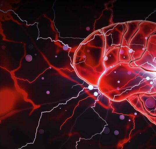 new-research-reveals-how-clptm1l-strengthens-cancer-growth-signals-in-glioblastoma
