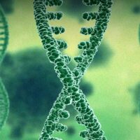 new-study-links-ces1-genes-to-compulsive-cocaine-addiction