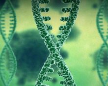 new-study-links-ces1-genes-to-compulsive-cocaine-addiction