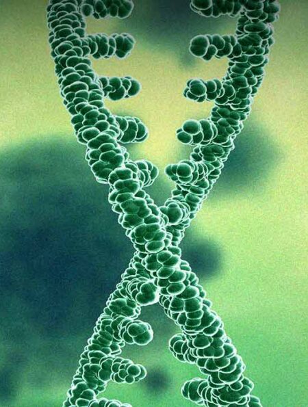 new-study-links-ces1-genes-to-compulsive-cocaine-addiction