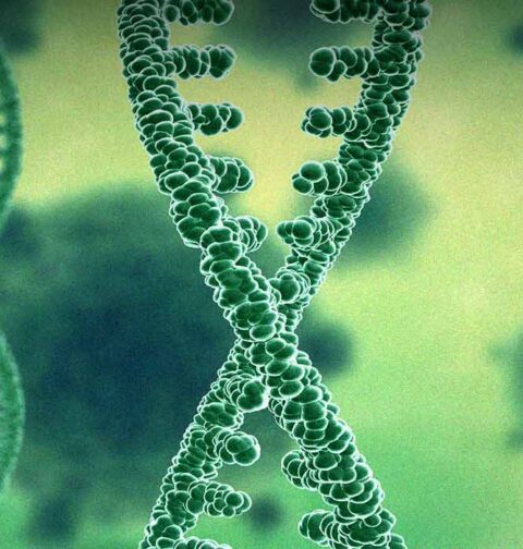 new-study-links-ces1-genes-to-compulsive-cocaine-addiction
