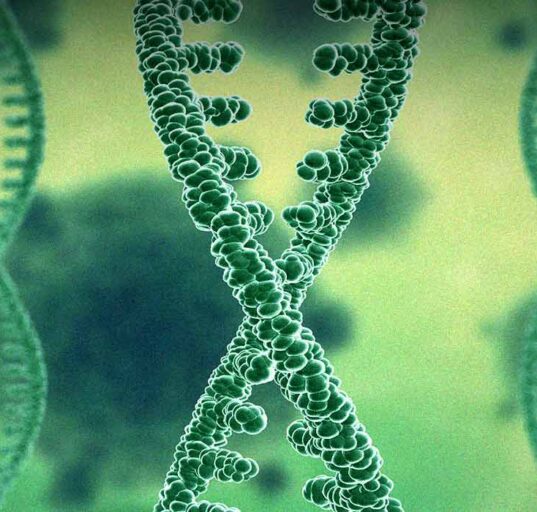 new-study-links-ces1-genes-to-compulsive-cocaine-addiction