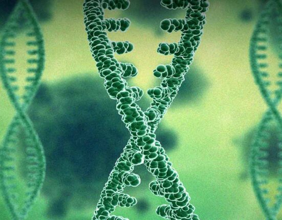 new-study-links-ces1-genes-to-compulsive-cocaine-addiction
