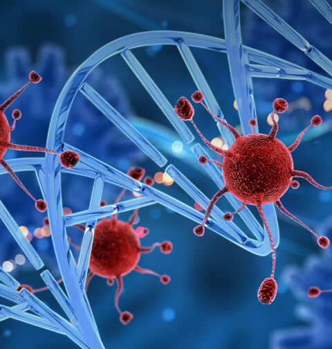 serotonin-belief-updating-and-ocd-what-new-research-reveals