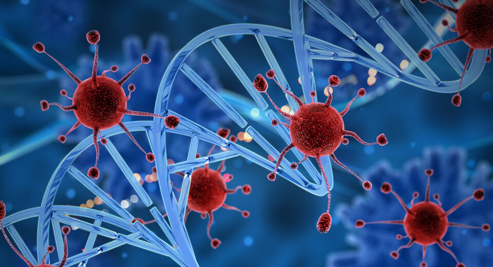 serotonin-belief-updating-and-ocd-what-new-research-reveals