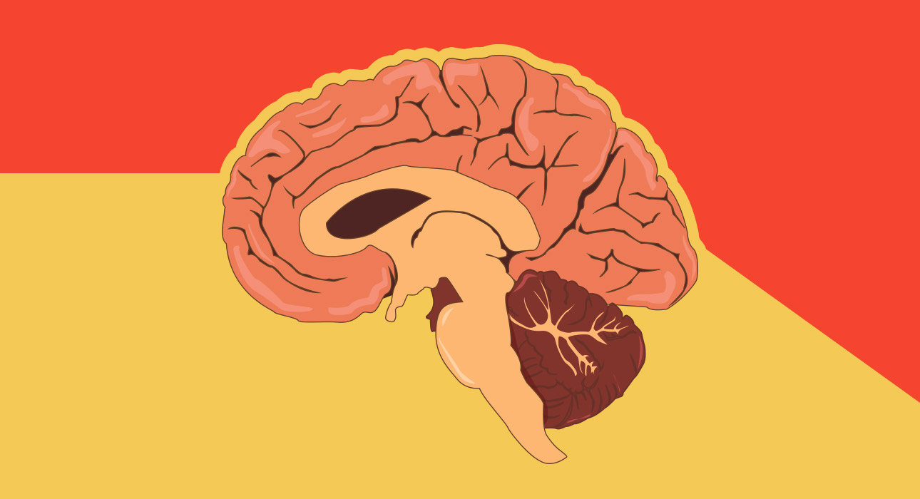 the-11-p-m-amygdala-why-your-rational-brain-sabotages-sleep-every-night