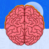 the-anatomy-of-flow-how-to-intentionally-trigger-the-ultimate-brain-state-for-deep-work