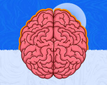 the-anatomy-of-flow-how-to-intentionally-trigger-the-ultimate-brain-state-for-deep-work