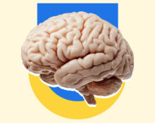 the-cognitive-reserve-the-exact-psychological-habits-that-shield-the-brain-from-dementia