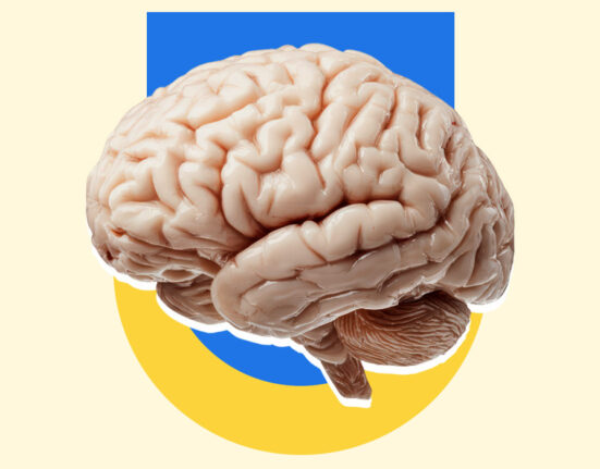 the-cognitive-reserve-the-exact-psychological-habits-that-shield-the-brain-from-dementia