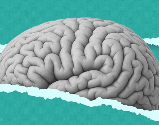 the-plasticity-paradox-why-2026s-neuro-ai-tools-might-be-making-our-brains-less-human