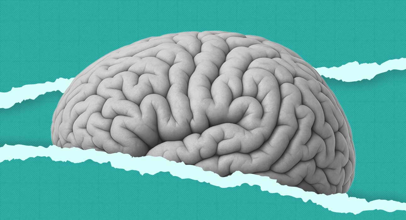 the-plasticity-paradox-why-2026s-neuro-ai-tools-might-be-making-our-brains-less-human