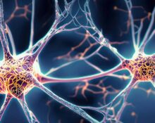 muscarinic-m1-receptor-deficits-in-schizophrenia-a-new-path-to-better-treatments