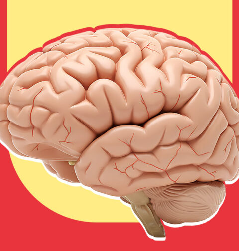 predictive-processing-is-the-brain-really-a-prediction-machine