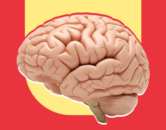 predictive-processing-is-the-brain-really-a-prediction-machine