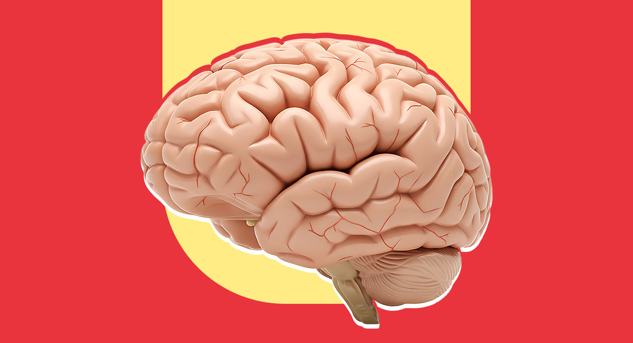 predictive-processing-is-the-brain-really-a-prediction-machine