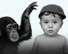 project-gua-the-bizarre-experiment-of-raising-a-chimpanzee-and-a-human-baby-together