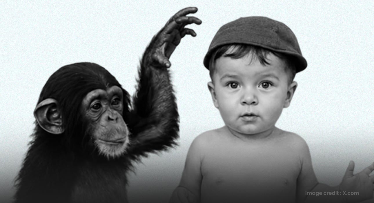 project-gua-the-bizarre-experiment-of-raising-a-chimpanzee-and-a-human-baby-together
