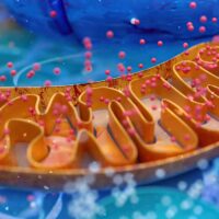 two-targets-one-trial-how-the-atp-study-is-redefining-alzheimers-treatment