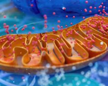 two-targets-one-trial-how-the-atp-study-is-redefining-alzheimers-treatment