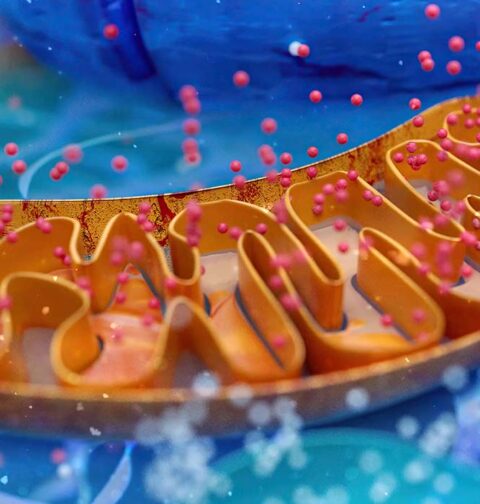 two-targets-one-trial-how-the-atp-study-is-redefining-alzheimers-treatment