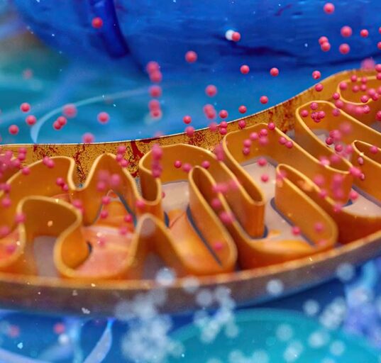 two-targets-one-trial-how-the-atp-study-is-redefining-alzheimers-treatment