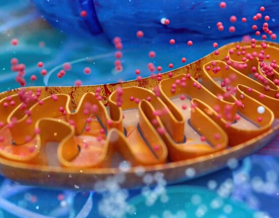 two-targets-one-trial-how-the-atp-study-is-redefining-alzheimers-treatment