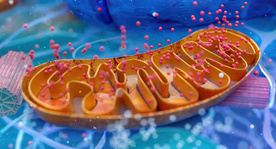 two-targets-one-trial-how-the-atp-study-is-redefining-alzheimers-treatment