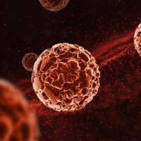 b-cell-depletion-enhances-protective-gut-derived-cells-in-multiple-sclerosis