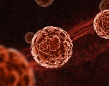 b-cell-depletion-enhances-protective-gut-derived-cells-in-multiple-sclerosis