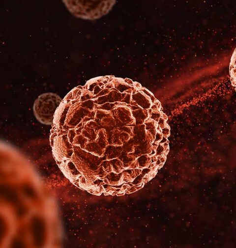 b-cell-depletion-enhances-protective-gut-derived-cells-in-multiple-sclerosis